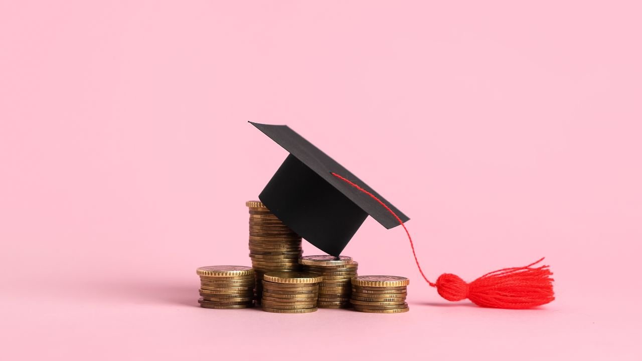 Best BCA Colleges in Delhi NCR Fees Admission Placement